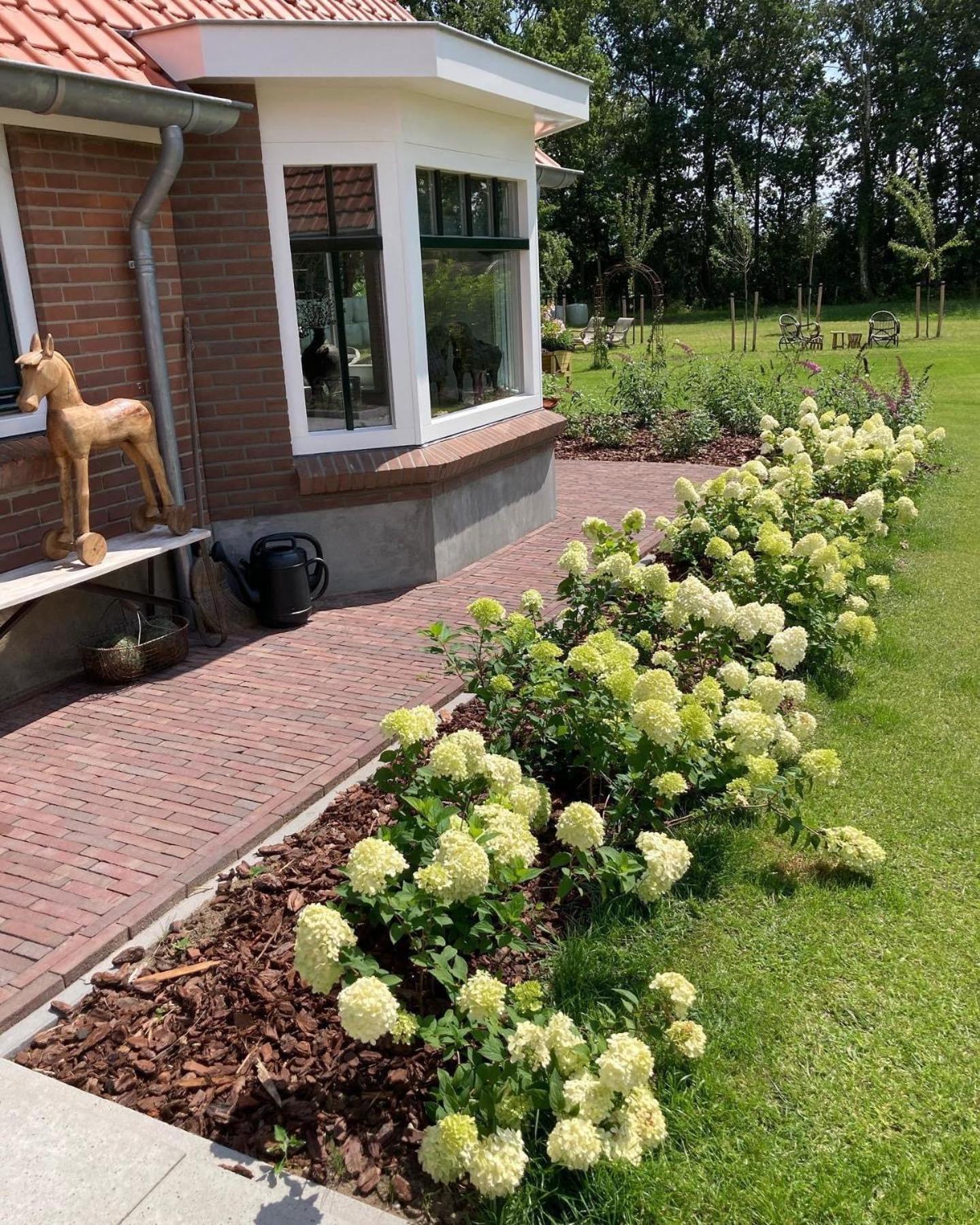 פורטהאוזן Bed & Breakfast Hoeve Happiness - Ontbijt Inbegrepen - Wellness Aanwezig מראה חיצוני תמונה