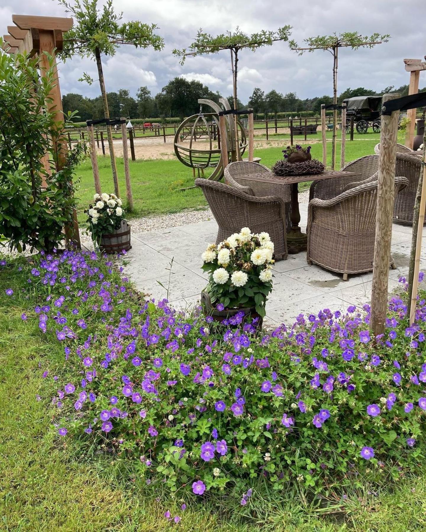 פורטהאוזן Bed & Breakfast Hoeve Happiness - Ontbijt Inbegrepen - Wellness Aanwezig מראה חיצוני תמונה