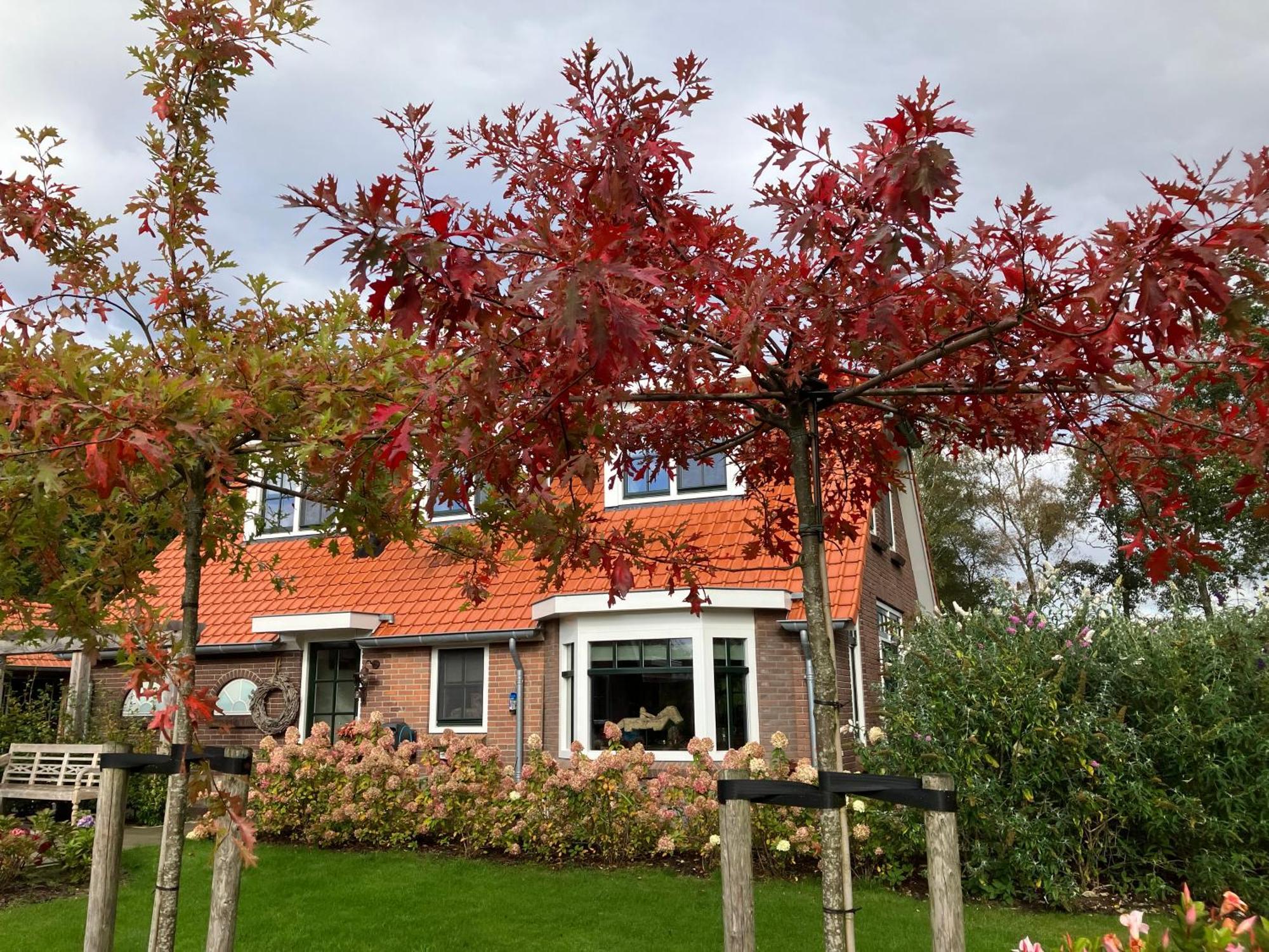 פורטהאוזן Bed & Breakfast Hoeve Happiness - Ontbijt Inbegrepen - Wellness Aanwezig מראה חיצוני תמונה